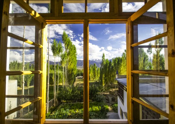 Cost of Wood Window Replacement in Cincinnati