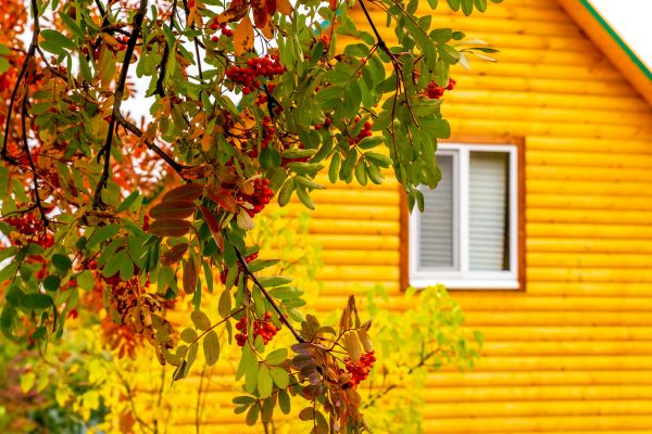 Cost of Garden Window Replacement in Cincinnati